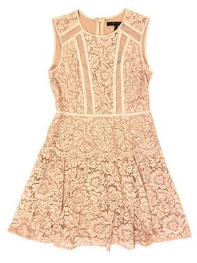 BCBGMaxAzria Veda Blush Pink Lace Fit-and-Flare Dress